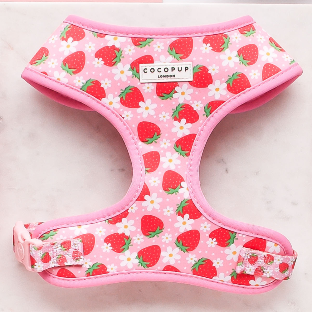 Pupberry Fields Adjustable Neck Dog Harness | Cocopup London