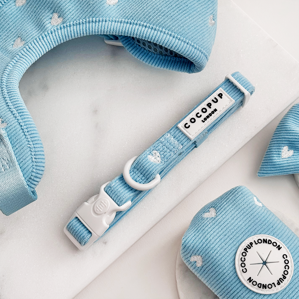 Blue Heartstrings Cord COLLAR, XS