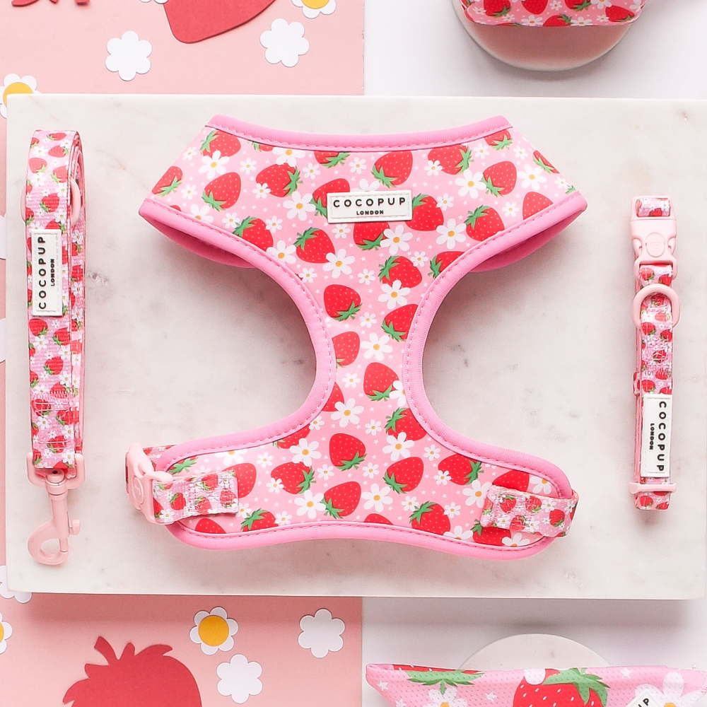 Pupberry Fields Adjustable Neck Dog Harness, Lead & Collar Bundle