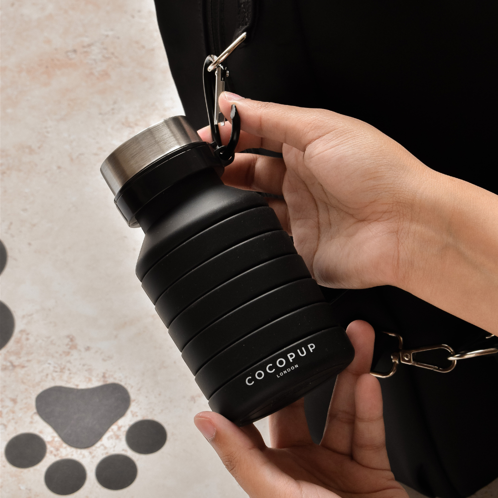 Collapsible Water Bottle - Black