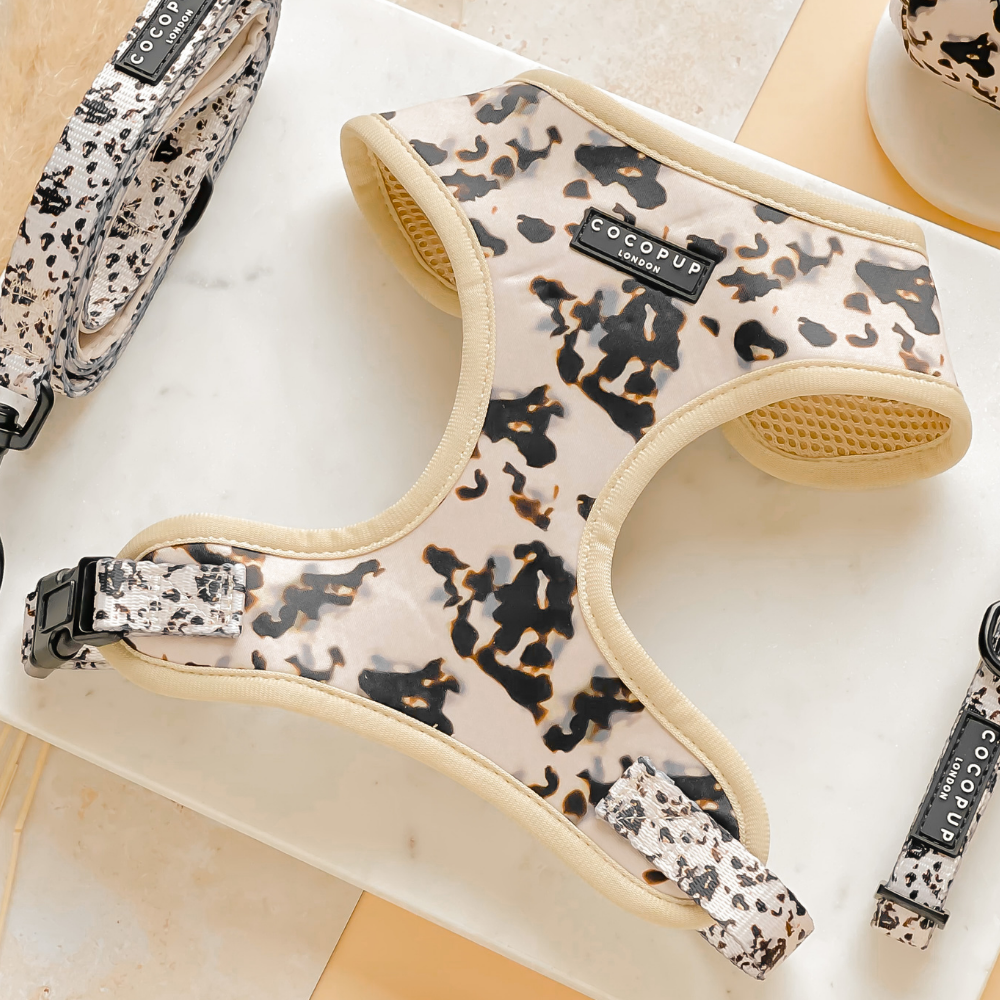 Ivory Tort Adjustable Neck Dog Harness | Cocopup London