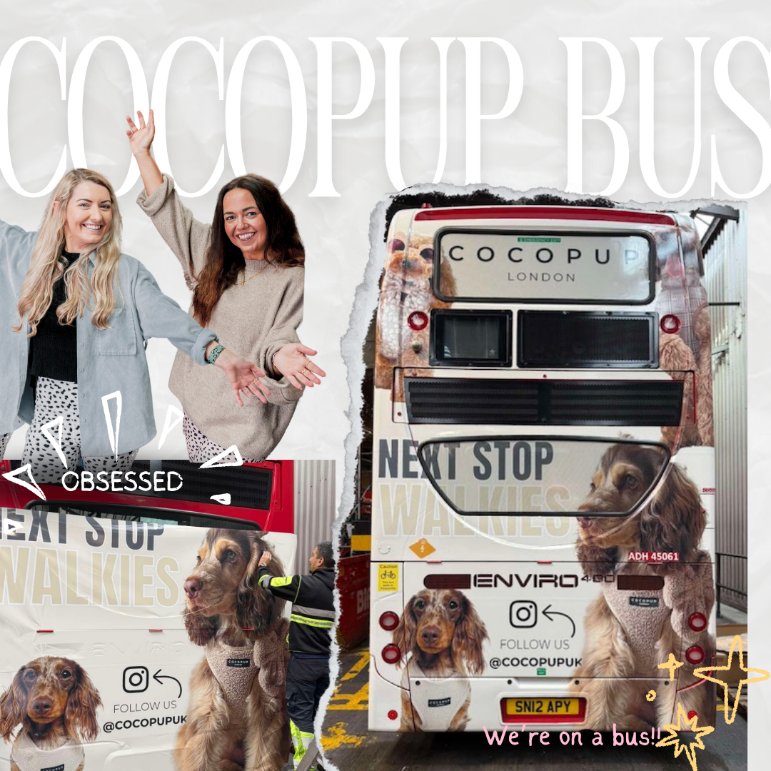 Cocopup London Launches Stylish Bus Campaign and Exciting £50 Voucher Giveaway!