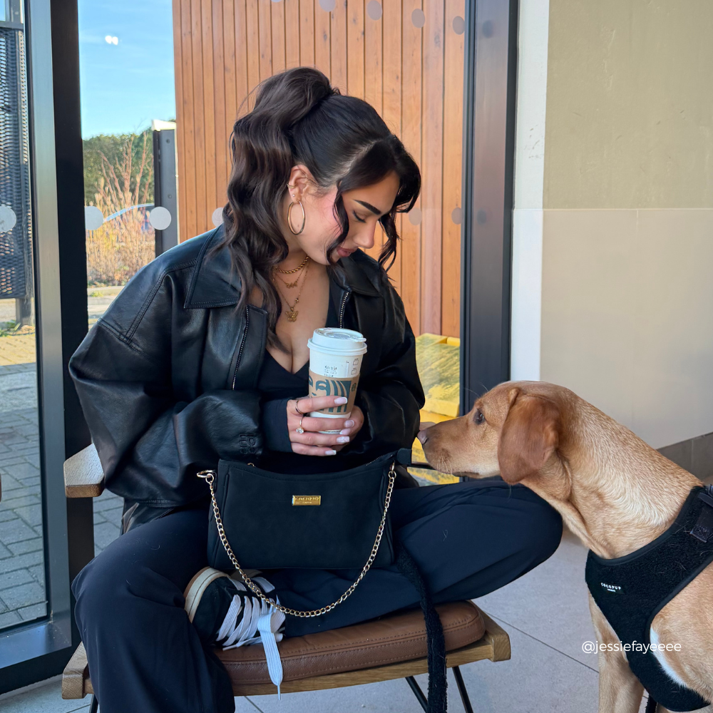 Top 5 dog parent must haves for 2026!