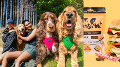 Pawfect Summer Adventure Essentials for Your Pooch