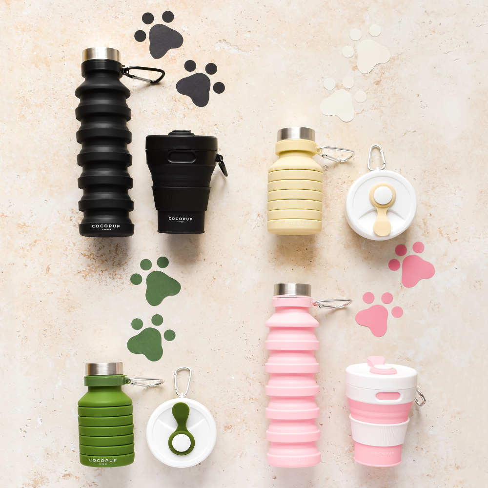 Collapsible Cups and Water Bottles