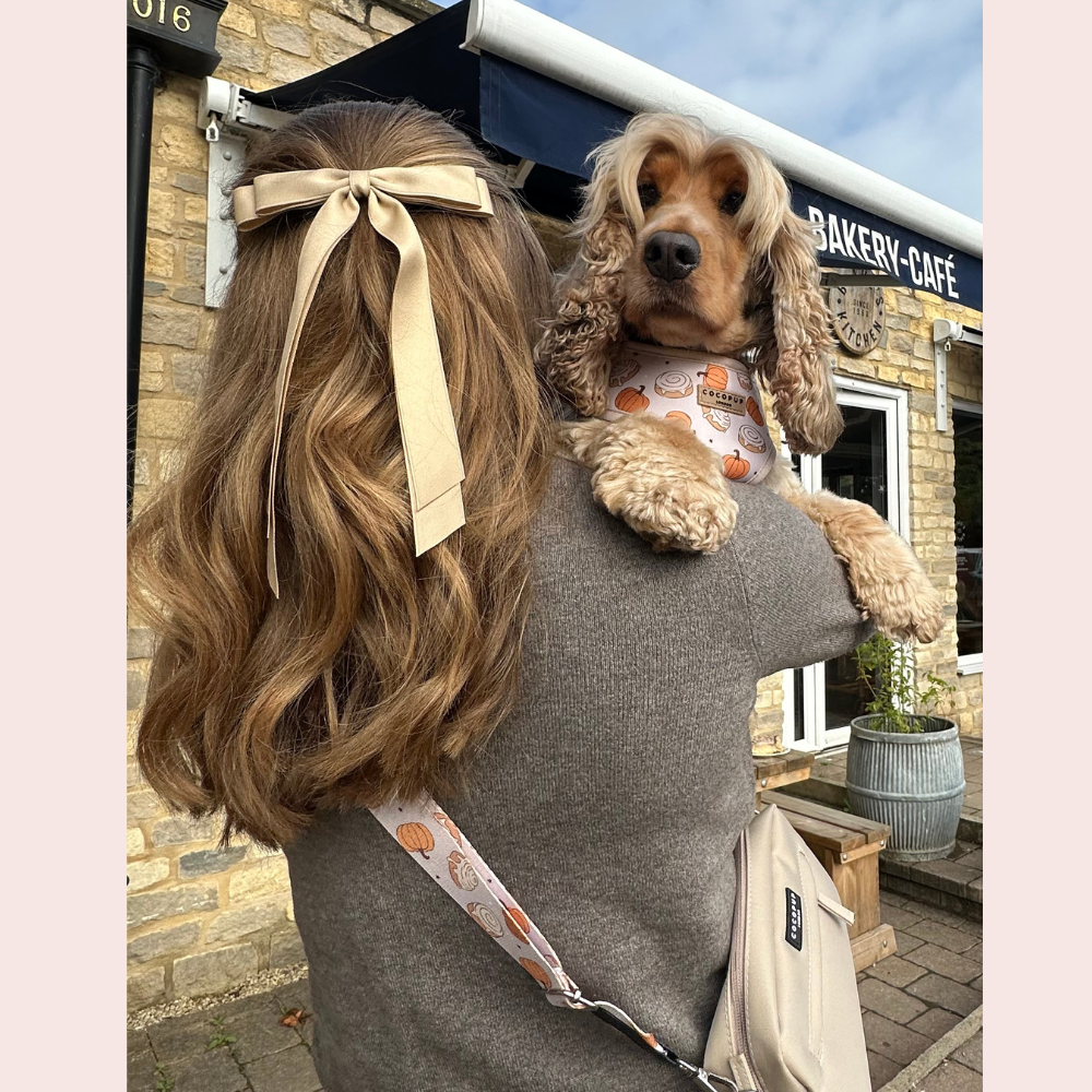 Dog Walking Caramel Latte Bag Bundle - Cinnamon Buns