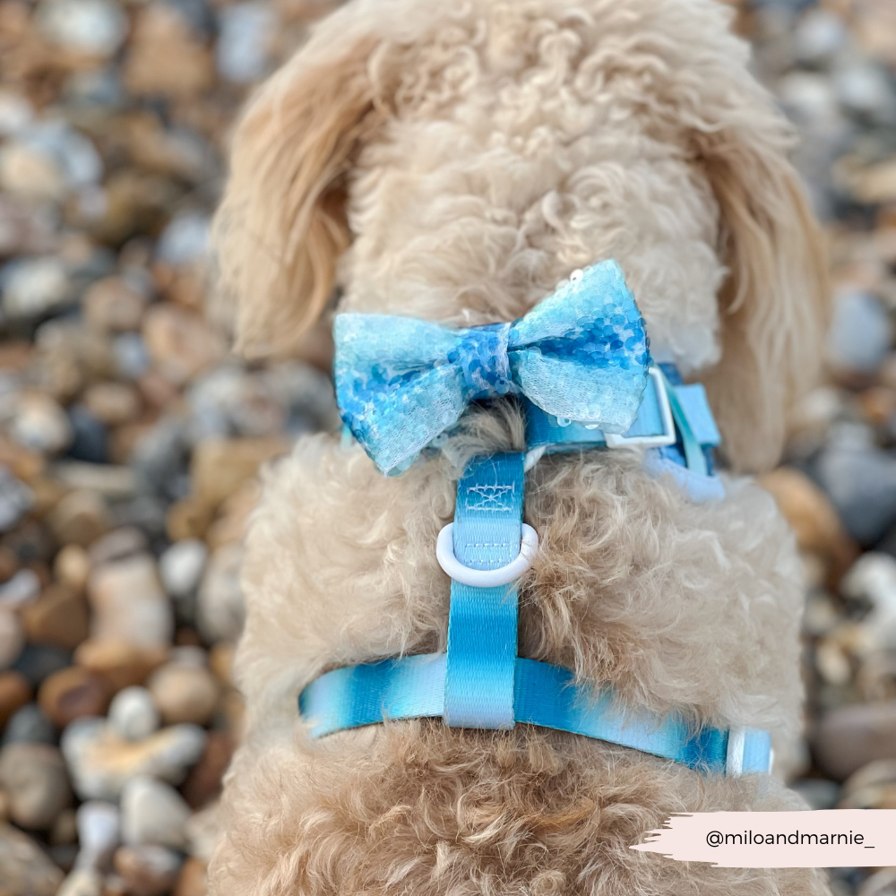 Seaside Shimmer Adjustable Neck HARNESS