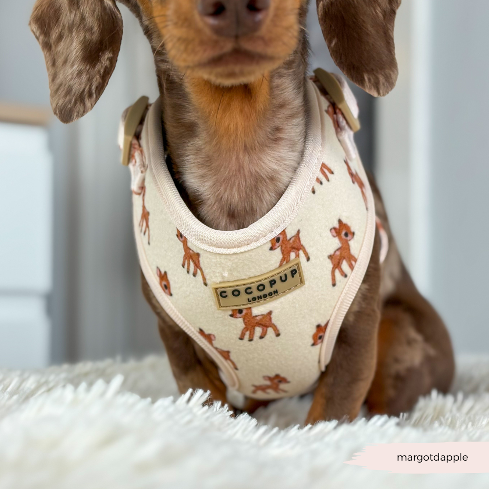 Fleecy Fawn Adjustable Neck HARNESS