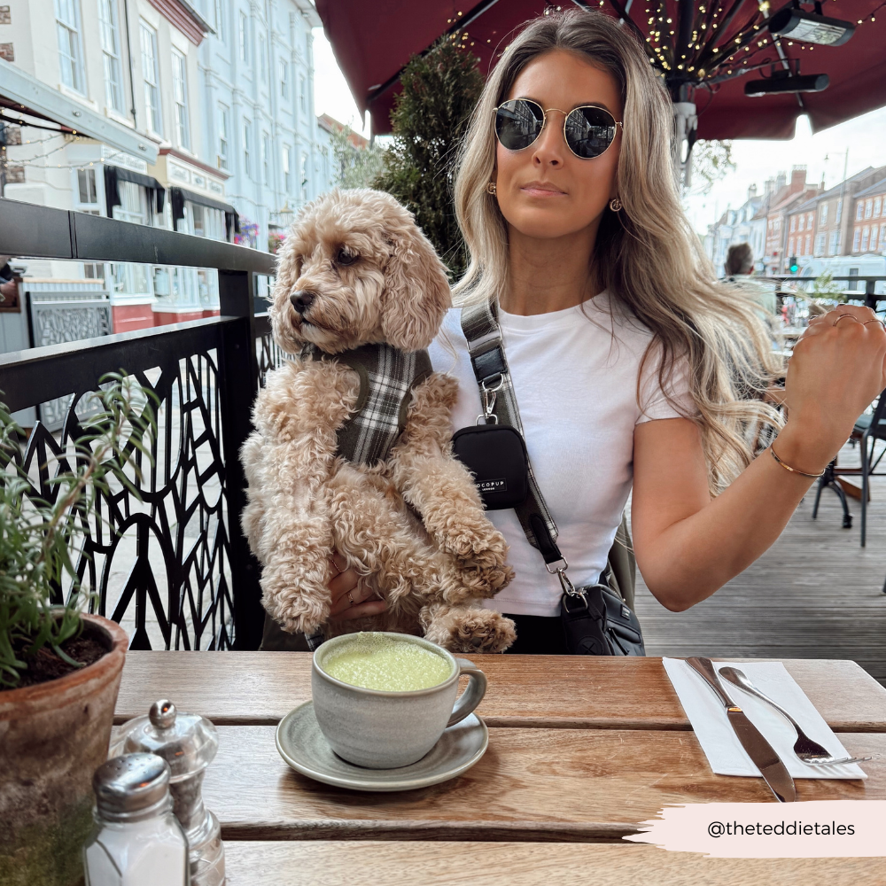 Bag Strap - Olive Check