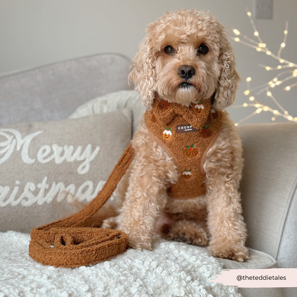 Festive Pudding Pup Adjustable Neck HARNESS