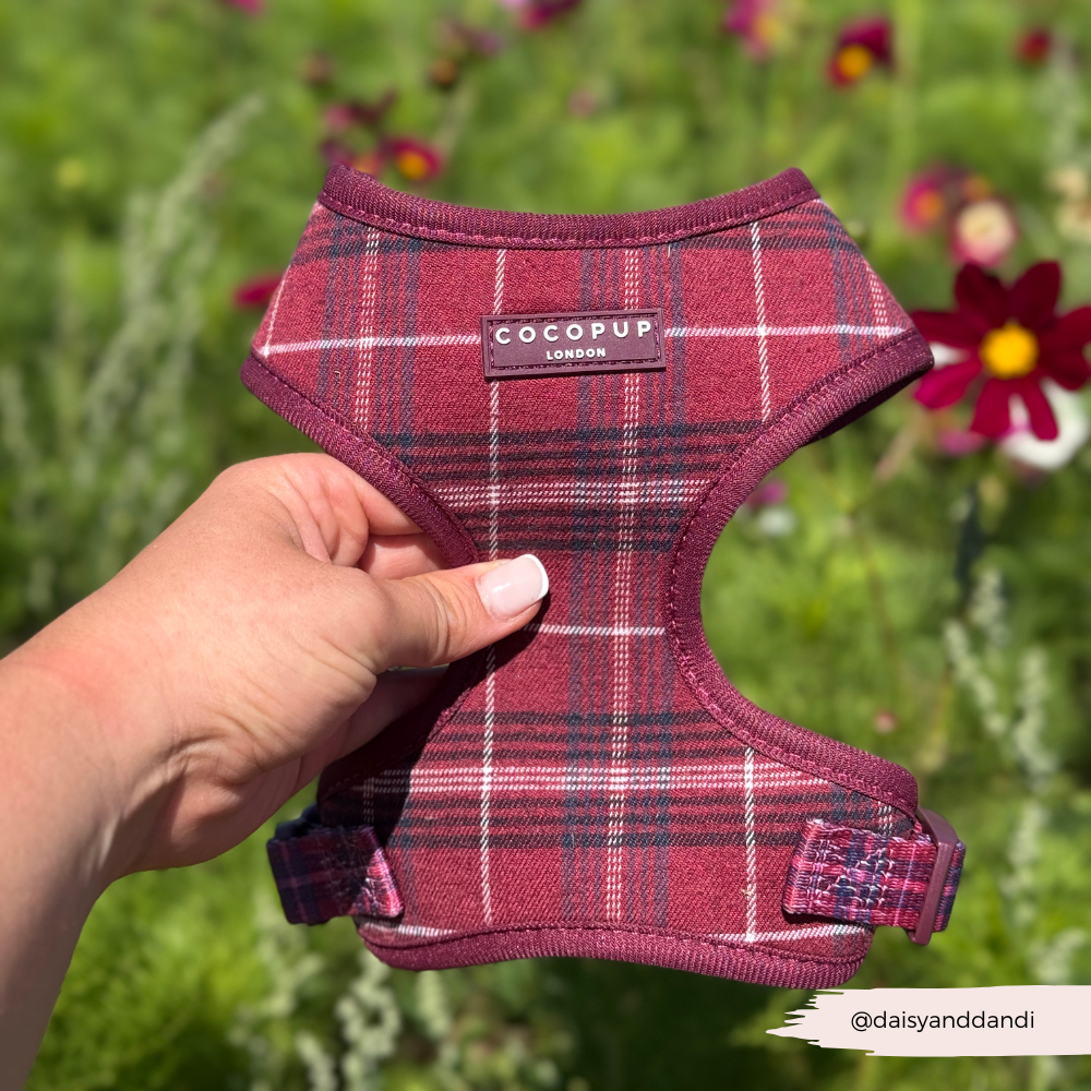 Mulberry Plaid Adjustable Neck HARNESS