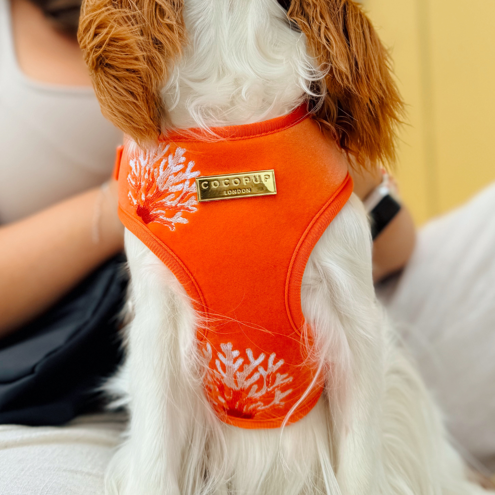 Luxe Velvet Adjustable Neck HARNESS- Coral Core