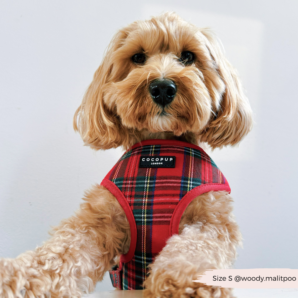 Tartan Adjustable Neck Harness