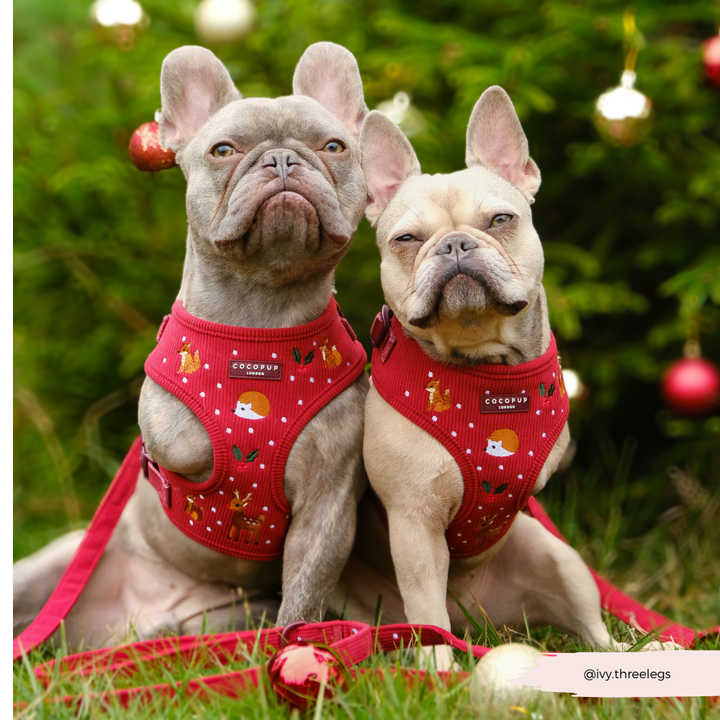 Holly Jolly Trails Adjustable Neck HARNESS