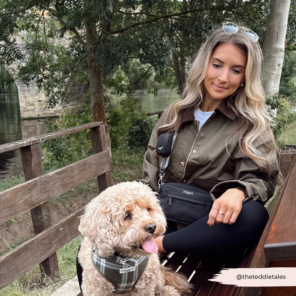 Bag Strap - Olive Check