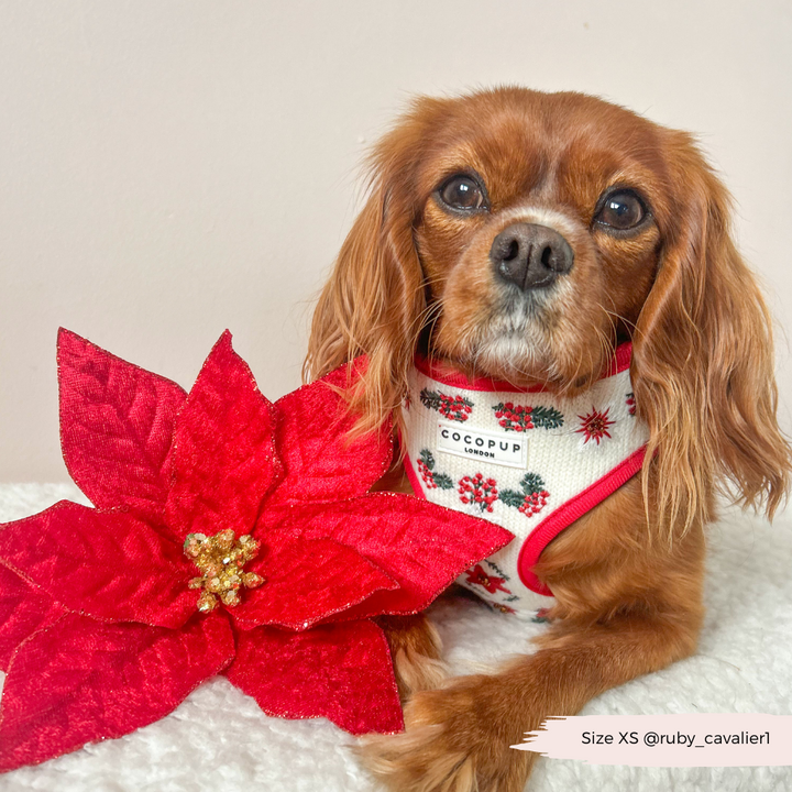 LUXE Embroidered Frosty Flower Harness