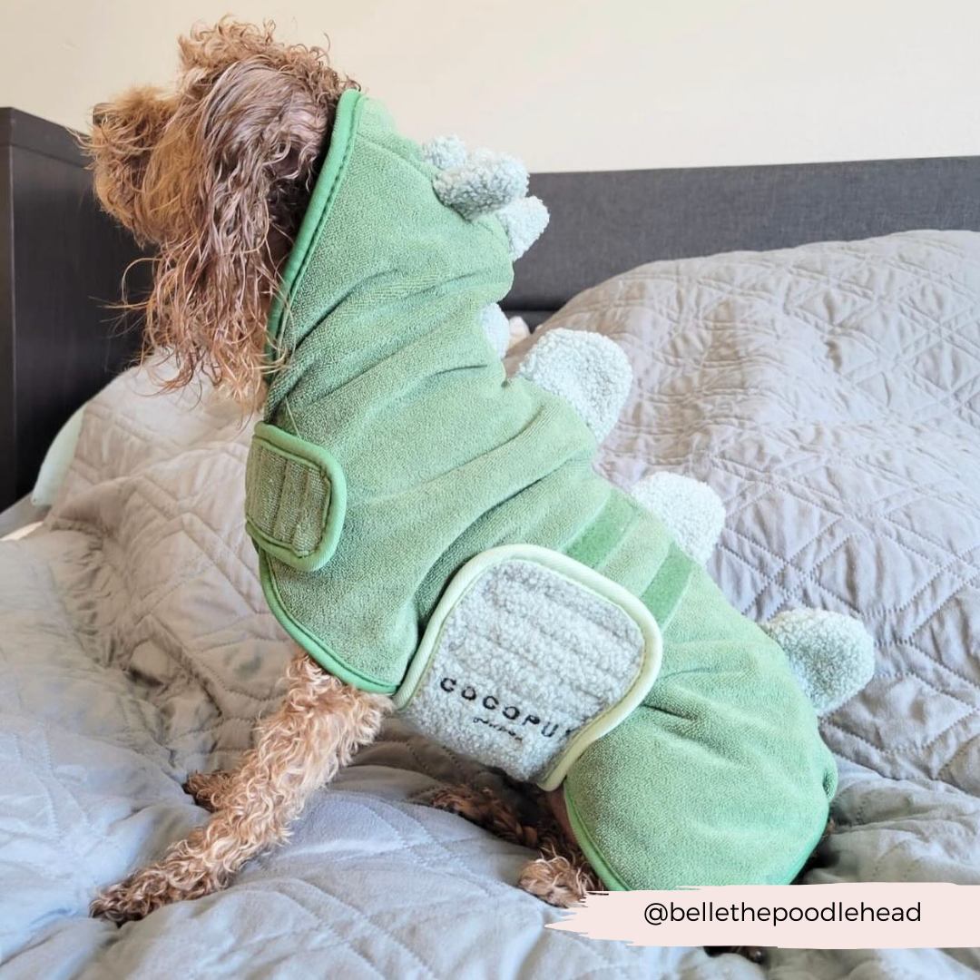 dino dog gear Dinopup Dog Drying Robe