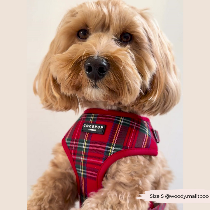 Tartan Adjustable Neck Harness