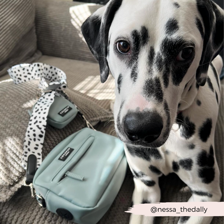 Build Your Own Dog Walking Bag - Ice Blue
