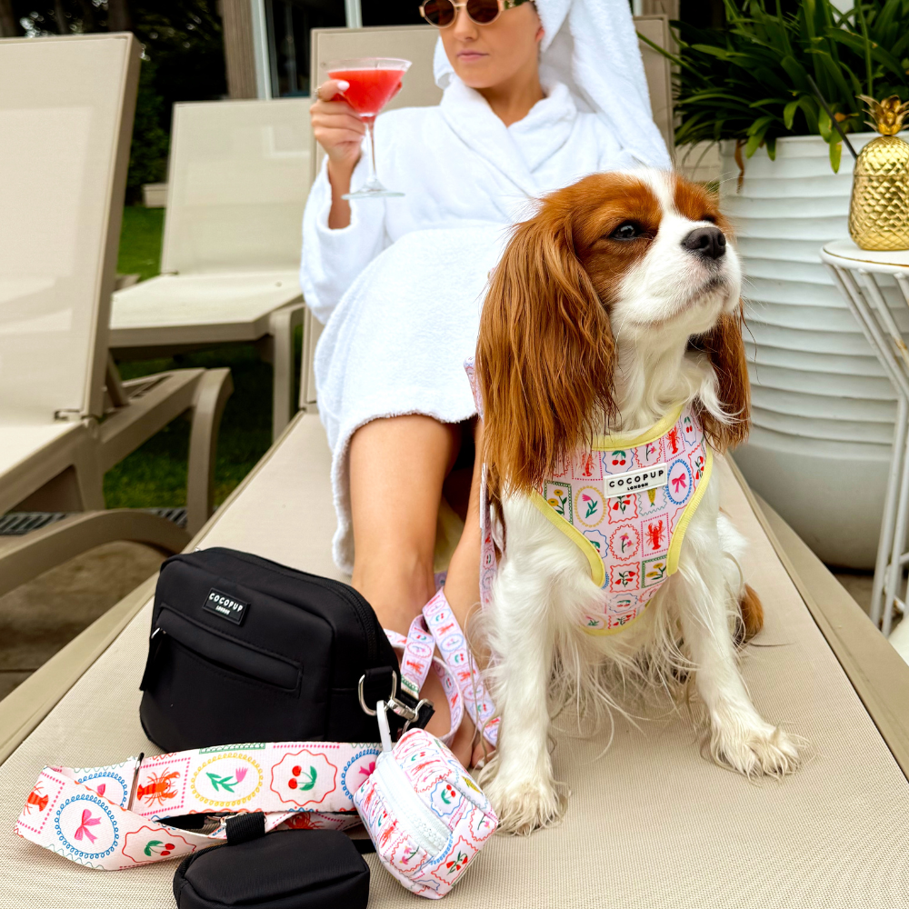 Dolce Vita Adjustable Neck HARNESS