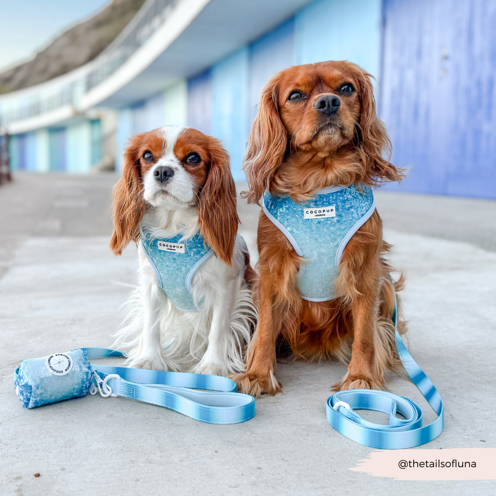 Seaside Shimmer Poop Bag Holder