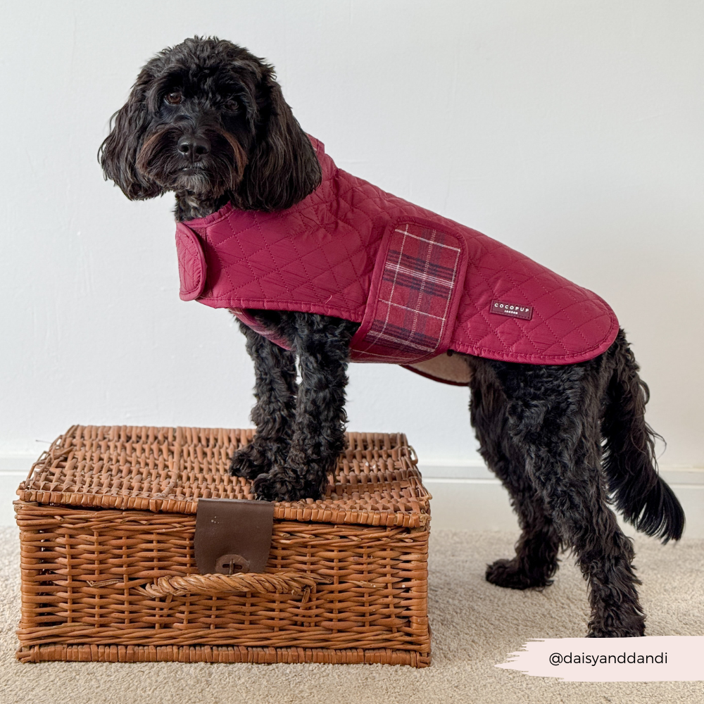 Quilted Dog Coat - Mulberry Plaid