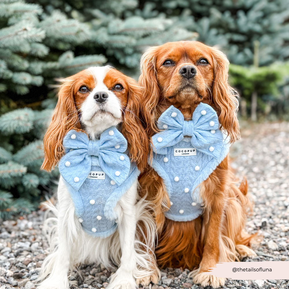 Snowpaws Adjustable Neck HARNESS