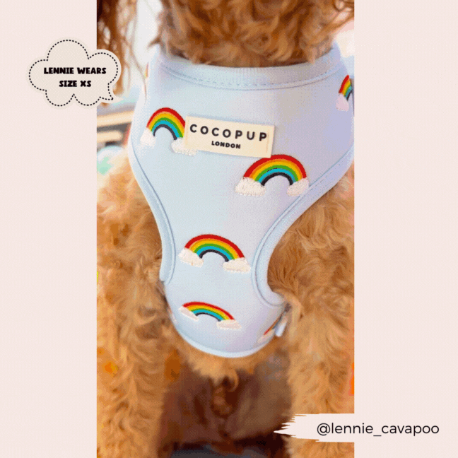 Luxe Adjustable Neck Harness - Over The Rainbow