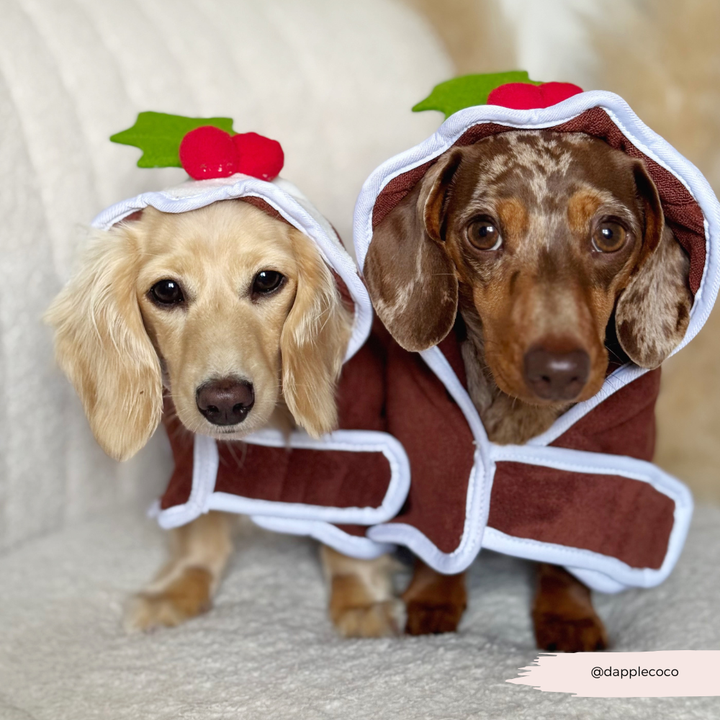 Christmas Pudding Drying Robe