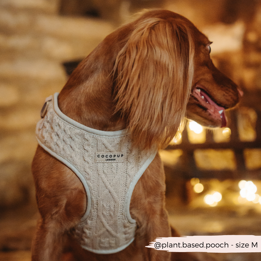 Cable Knit Jumper Adjustable Neck Harness - Toffee Pup Latte