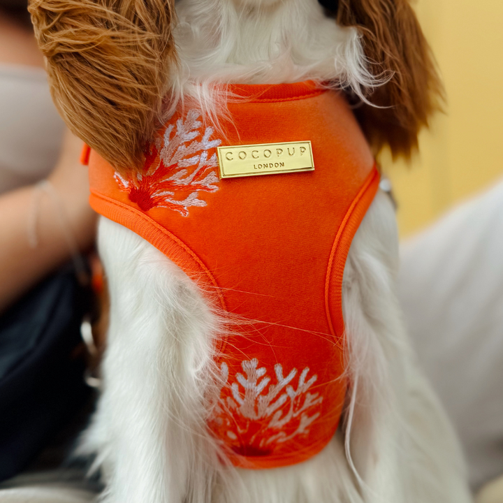 Luxe Velvet Adjustable Neck HARNESS- Coral Core