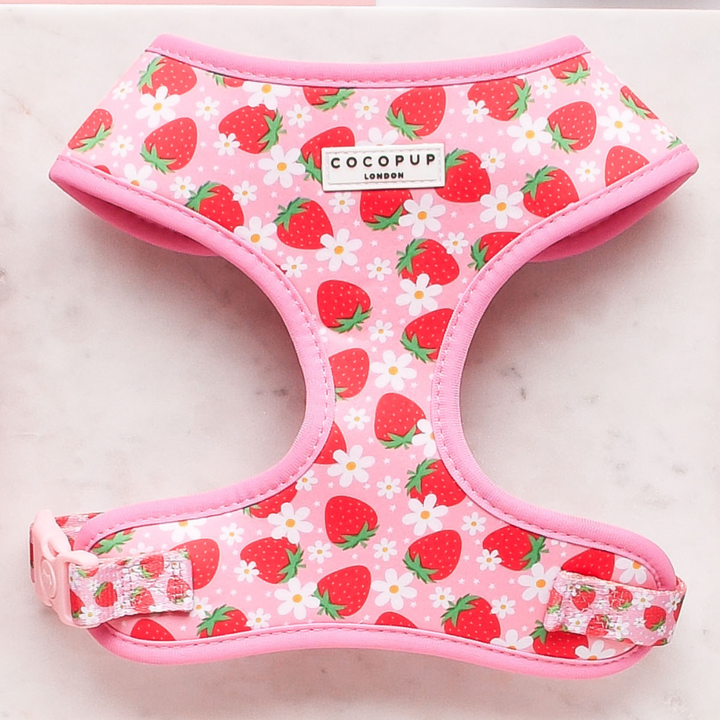 The Pupberry Fields Adjustable Neck Harness by Cocopup London is styled in pink with a charming pattern of strawberries and white flowers. It includes an adjustable neck harness and features a "COCOPUP LONDON" tag near the top. Crafted from durable neoprene material, this harness is laid flat on a white surface, making it perfect for fashionable dog walks.