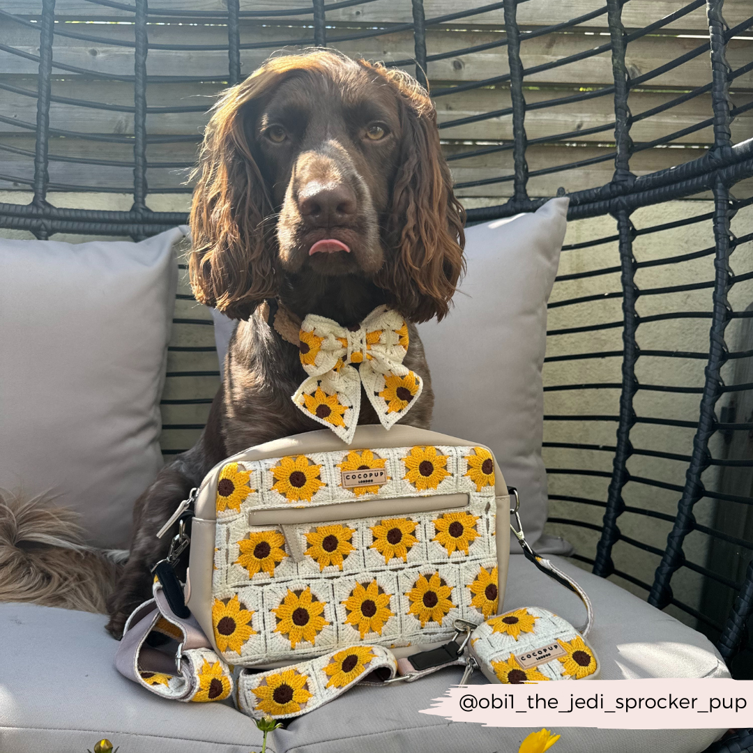 Large Sunflower Patch Dog Walking Bag Bundle - Sunflower Patch