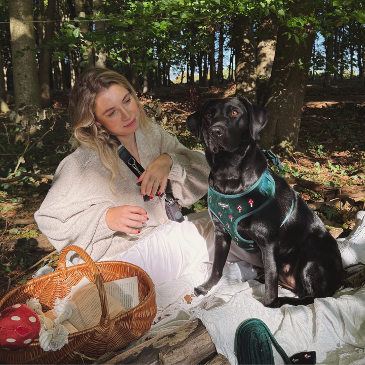 Toadstool Trails Adjustable Neck HARNESS