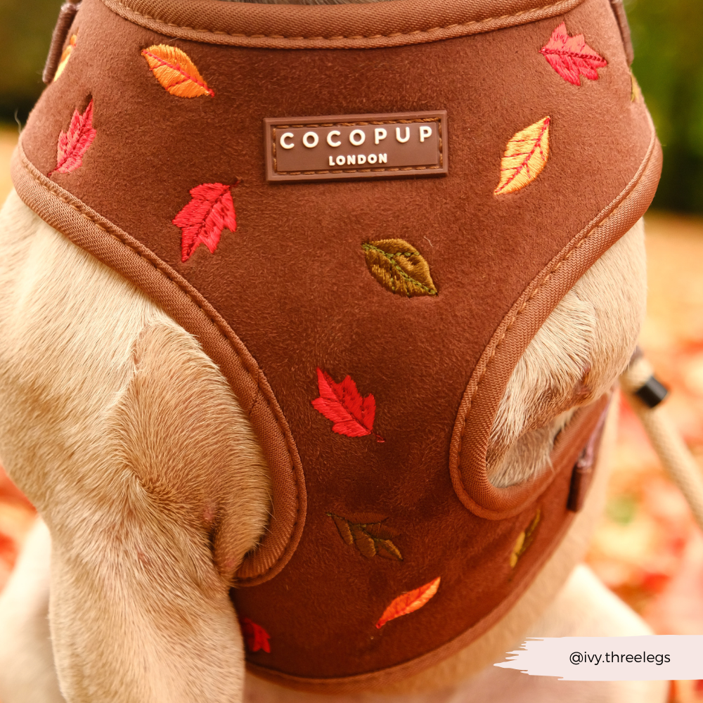 Pawtumn Leaves Adjustable Neck HARNESS