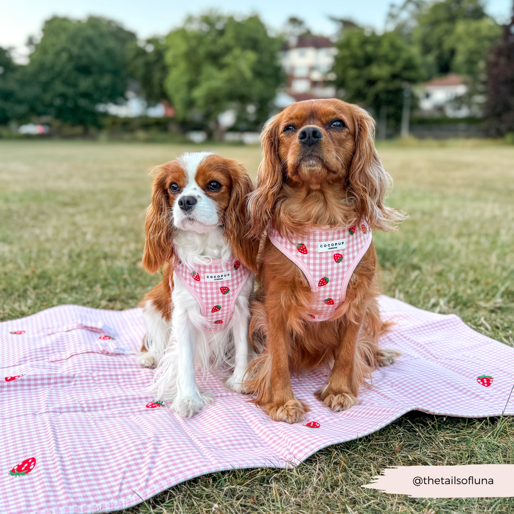 Travel Mat & Blanket Set - Strawberry Picnic Pup