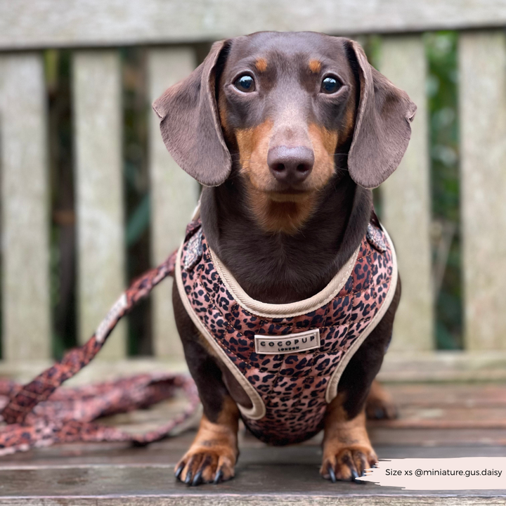 Quilted Leopard Pup Lead