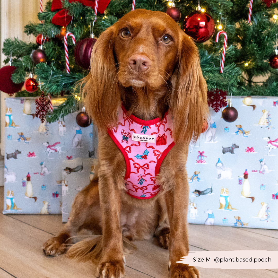 Pupmas Kisses Adjustable Neck Harness, Lead & Collar Bundle