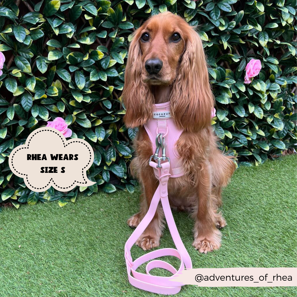 Adjustable Neck Dog Harness, Lead, Collar Poop Bag Bundle Pink