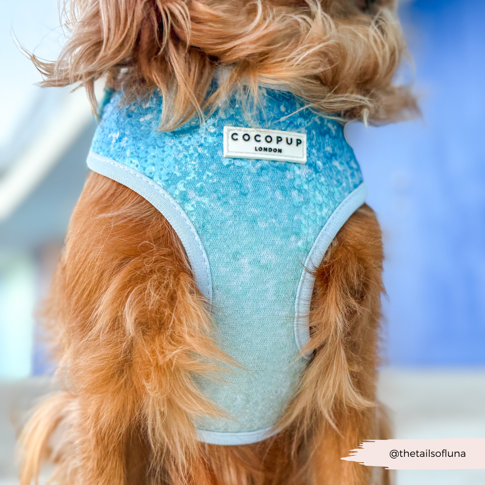 Seaside Shimmer Adjustable Neck HARNESS