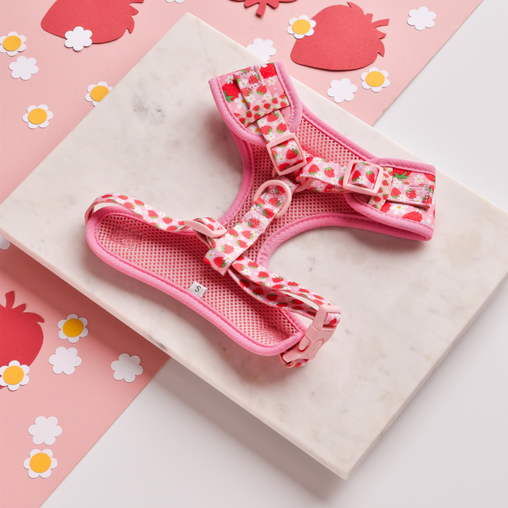 On a marble slab lies the Pupberry Fields Adjustable Neck Harness from Cocopup London, showcasing its pink floral design made from neoprene material. Scattered around the slab are paper cutouts of strawberries, flowers, and circles against a pink background. The harness includes mesh material and adjustable buckles for comfortable dog walks.