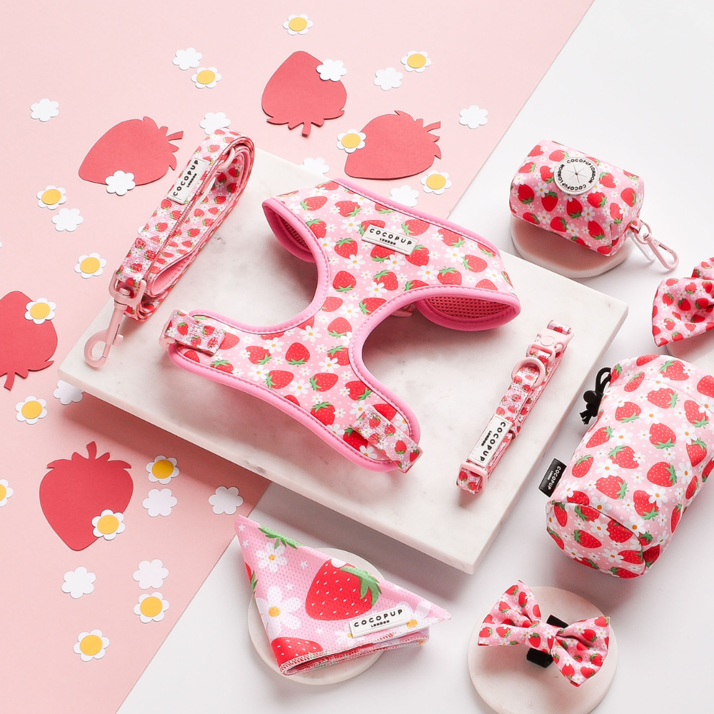 Displayed on a marble slab with a pink background is the Pupberry Fields Adjustable Neck Harness collection by Cocopup London, featuring dog accessories adorned with charming strawberry patterns. This stylish set includes an adjustable neck harness, collar, leash, poop bag holder, bow tie, bandana, and folded bows—all crafted from neoprene material. Delightful strawberry and daisy-shaped decorations add a whimsical touch—ideal for fashionable dog walks.