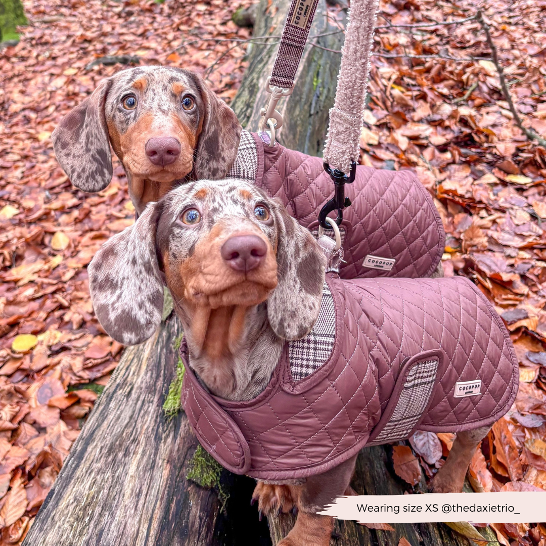 LUXE Quilted Dog Coat - Pup Plaid