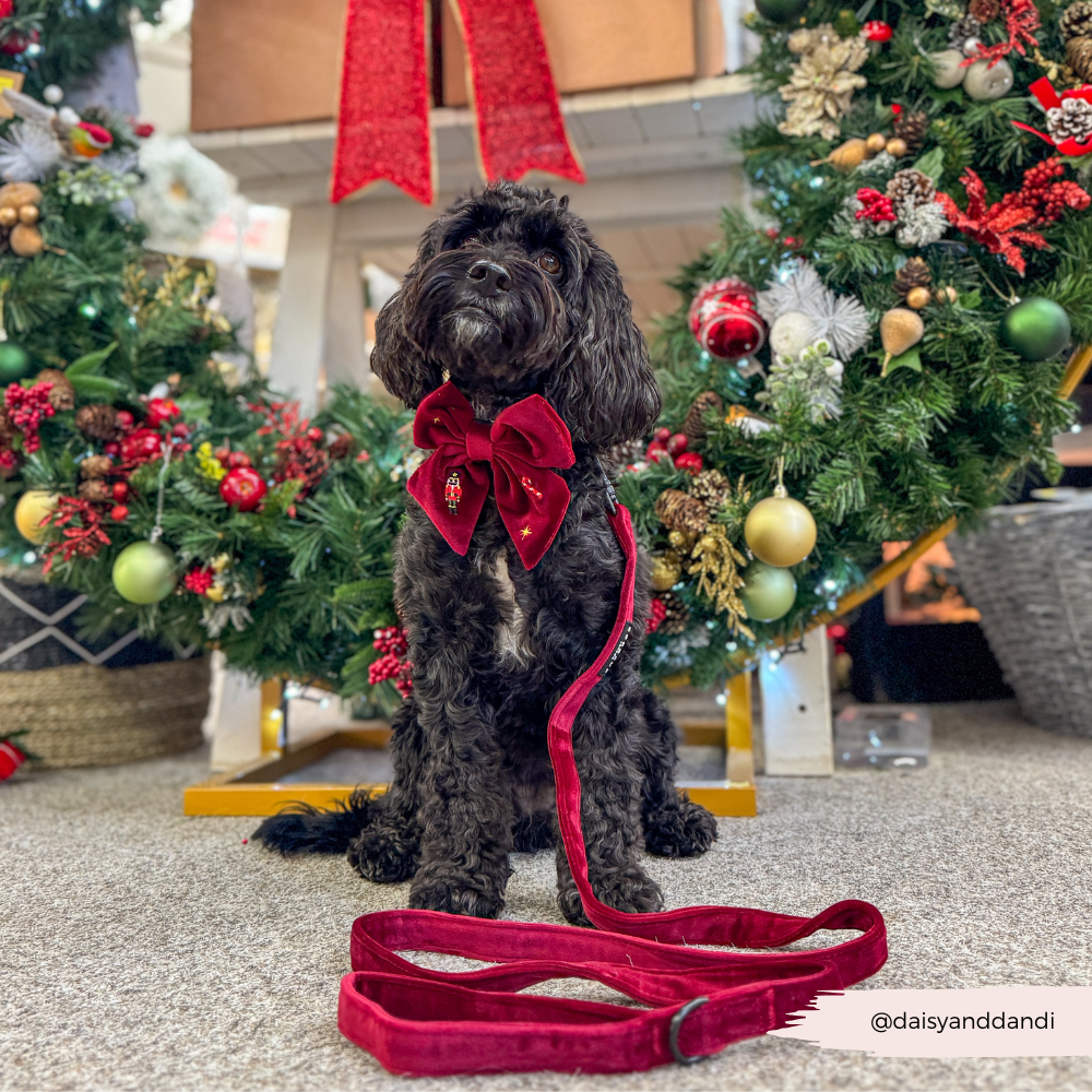 The Muttcracker Adjustable Neck HARNESS