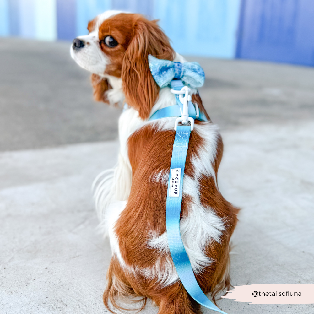 Seaside Shimmer Sailor Bow Tie