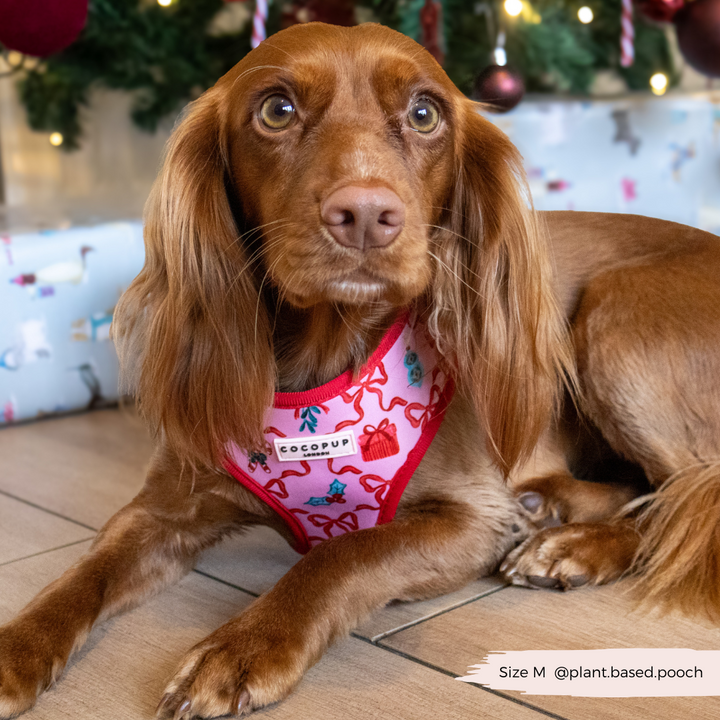 Pupmas Kisses Adjustable Neck Harness