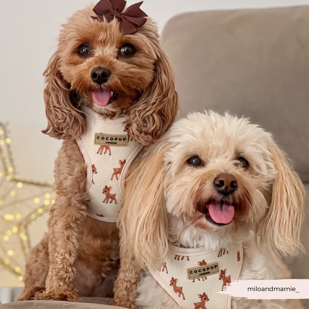 Fleecy Fawn Adjustable Neck HARNESS