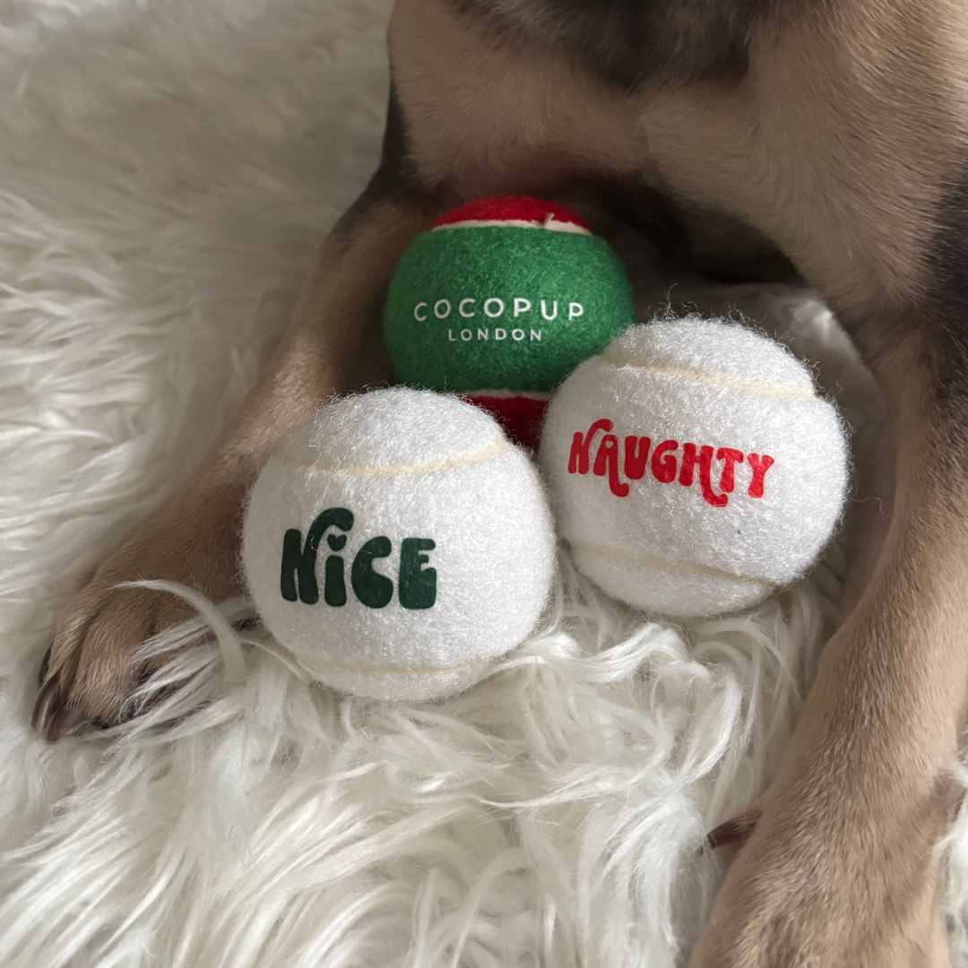 Limited Edition Christmas Tennis Ball - Nice