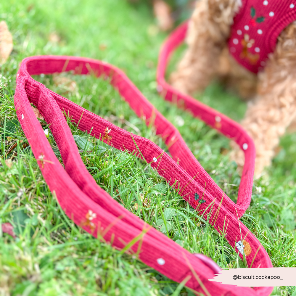 Holly Jolly Trails Lead