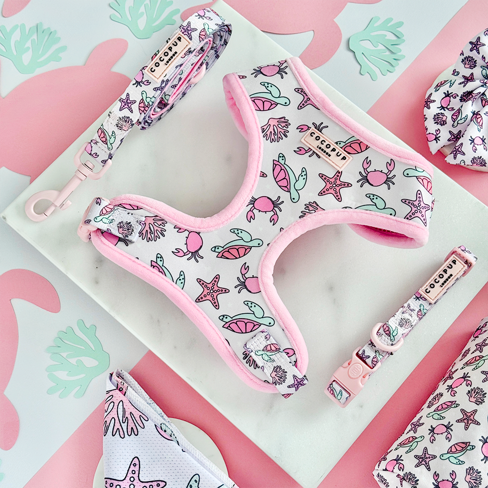 Pawcific Pink Reef Lead